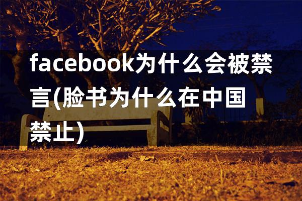 facebook为什么会被禁言(脸书为什么在中国禁止)