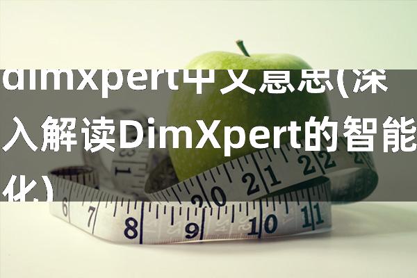 dimxpert中文意思(深入解读DimXpert的智能化)