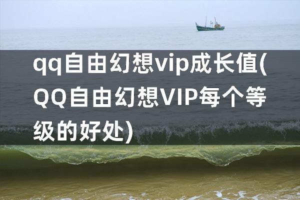 qq自由幻想vip成长值(QQ自由幻想VIP每个等级的好处)