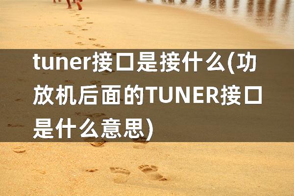 tuner接口是接什么(功放机后面的TUNER接口是什么意思)