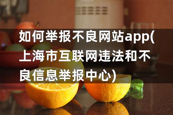 如何举报不良网站app(上海市互联网违法和不良信息举报中心)