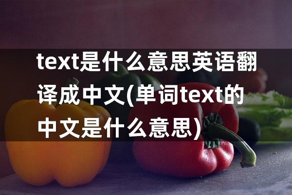 text是什么意思英语翻译成中文(单词text的中文是什么意思)