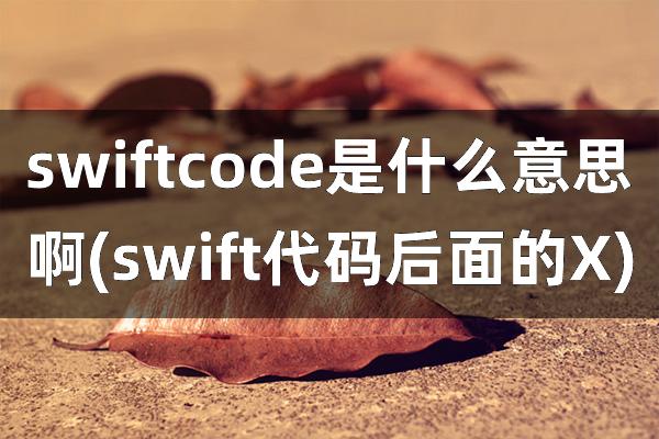 swiftcode是什么意思啊(swift代码后面的X)