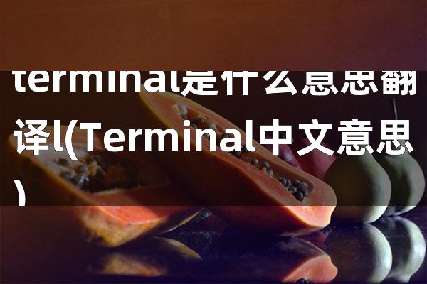 terminal是什么意思翻译l(Terminal中文意思)