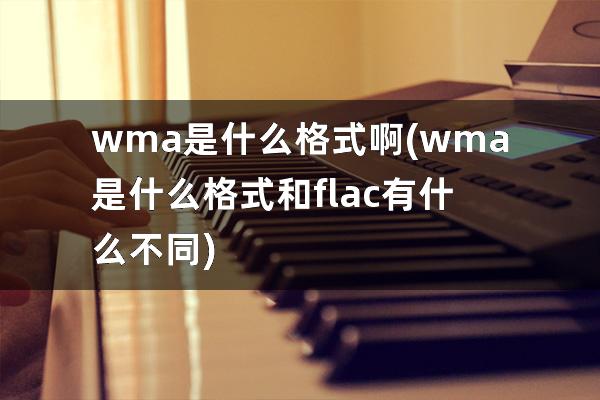 wma是什么格式啊(wma是什么格式和flac有什么不同)