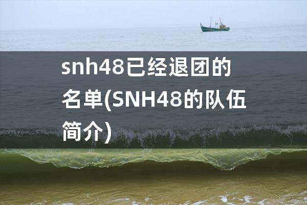 snh48已经退团的名单(SNH48的队伍简介)