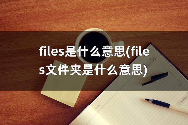 files是什么意思(files文件夹是什么意思)
