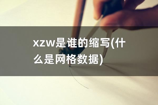 xzw是谁的缩写(什么是网格数据)