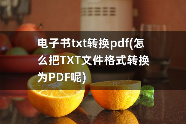 电子书txt转换pdf(怎么把TXT文件格式转换为PDF呢)