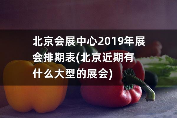 北京会展中心2019年展会排期表(北京近期有什么大型的展会)