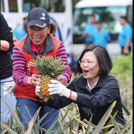 国台办回应大陆暂停进口台湾菠萝(大陆为什么禁止进口台湾菠萝)