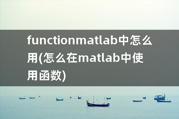 functionmatlab中怎么用(怎么在matlab中使用函数)