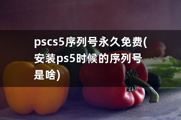 ps cs5序列号永久免费(安装ps5时候的序列号是啥)