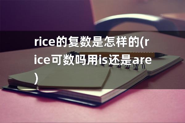 rice的复数是怎样的(rice可数吗用is还是are)