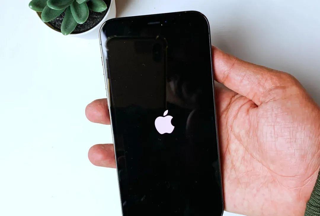 iphone7开机循环白苹果怎么关机(苹果xr白苹果的简单修复方法)