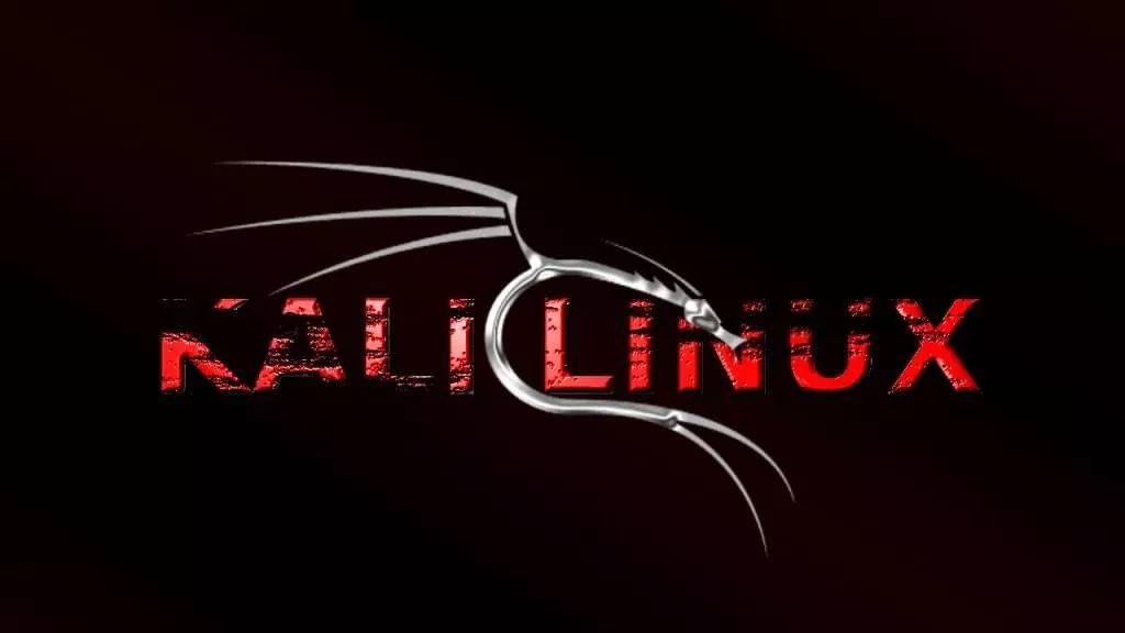 kali linux渗透教程书籍(kali linux制作随身u盘)
