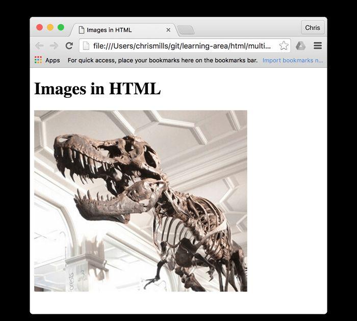 html插入背景图片怎么平铺(html嵌入动态背景的方法)