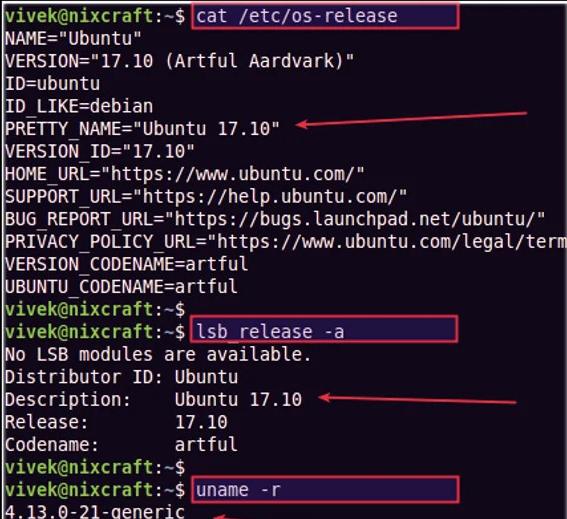 linux查看系统信息命令(查看电脑操作系统版本)