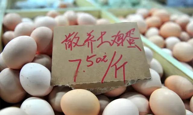 12月份鸡蛋价会是什么价(最近鸡蛋能涨价还是降价)