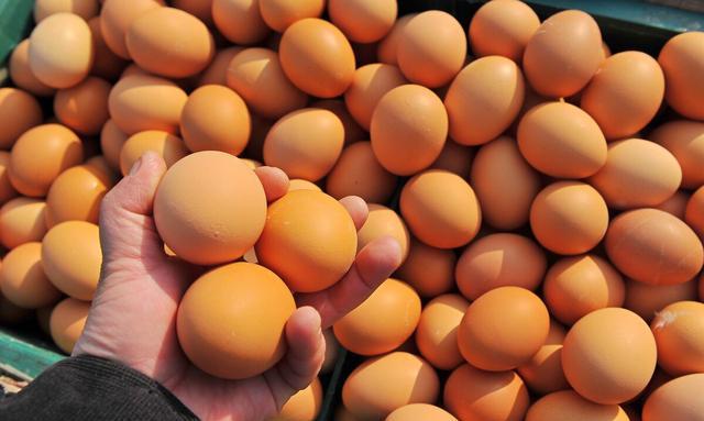 鸡蛋为什么涨价(今年鸡蛋价格为什么这么高)