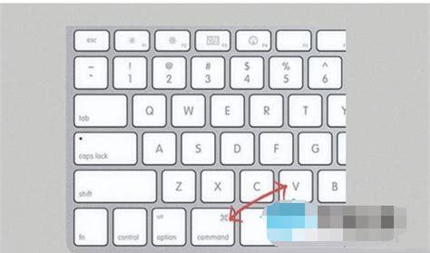 苹果电脑怎么复制粘贴(笔记本电脑没有鼠标怎么复制粘贴文字)