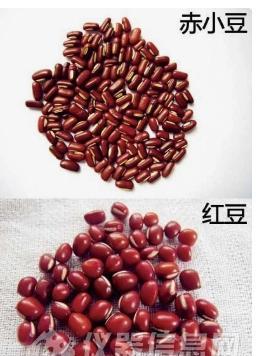 红豆和赤小豆有什么区别(红豆跟赤小豆的区别)